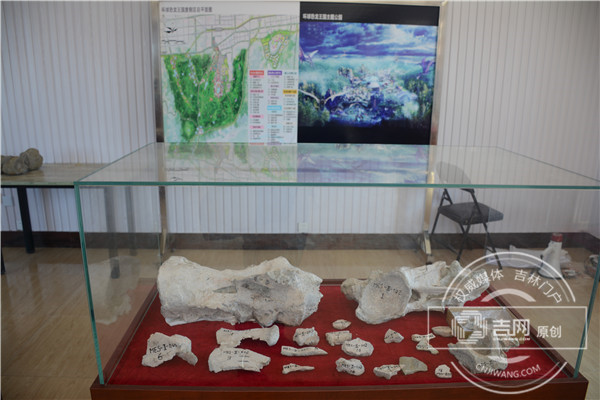 延吉龙山恐龙化石系统发掘正在进行中