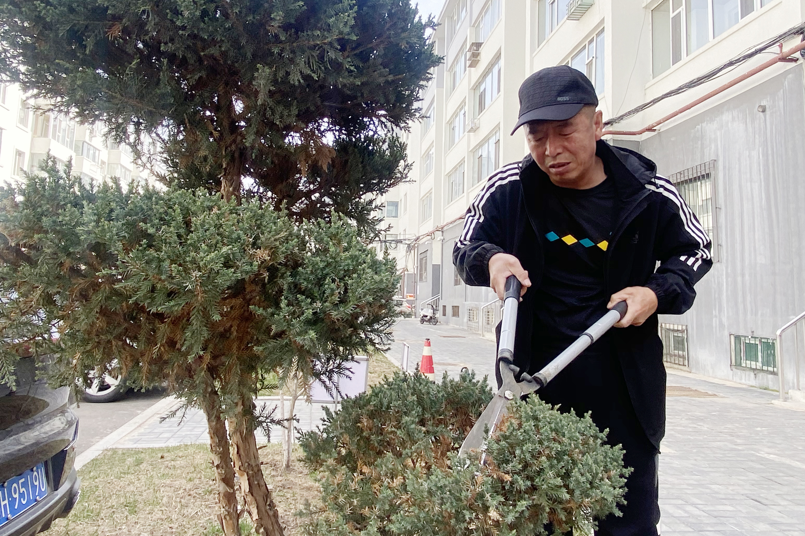 王殿文修剪绿植.jpg