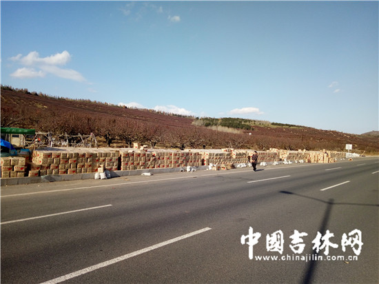 苹果梨箱子绵延100多米.jpg