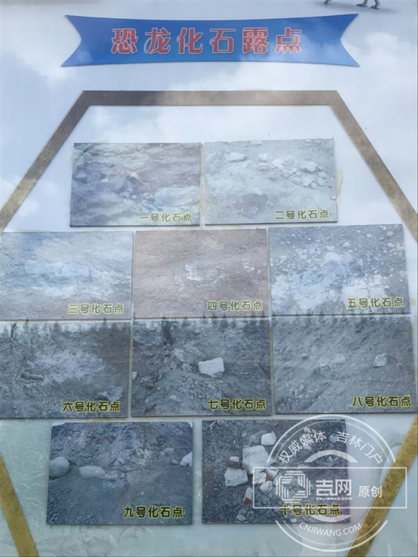 延吉古生物化石挖掘现场