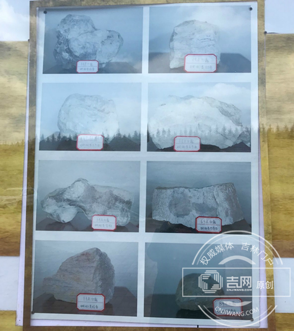 延吉古生物化石挖掘现场