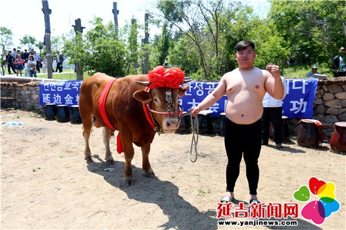 比赛精彩瞬间 金洪石 摄7.jpg