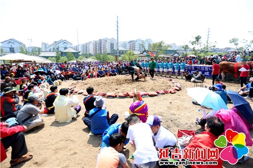 比赛吸引众多游客驻足观看 金洪石 摄.jpg