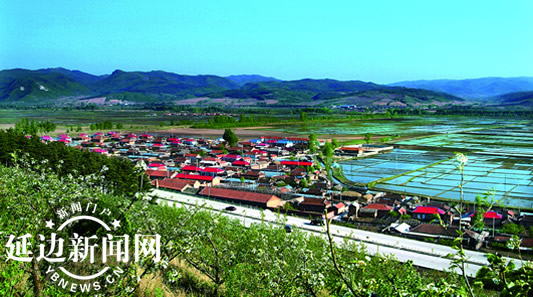 光东村.jpg 光东村.jpg