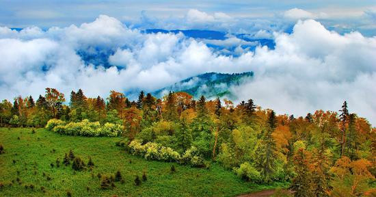 放歌山水靓延边——记长白山森工集团加快推进森林旅游产业发展升级