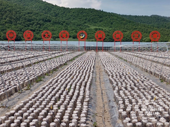 777.jpg