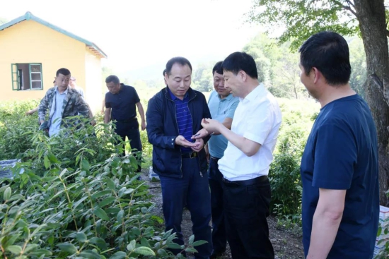 科技1.jpg 科技1.jpg