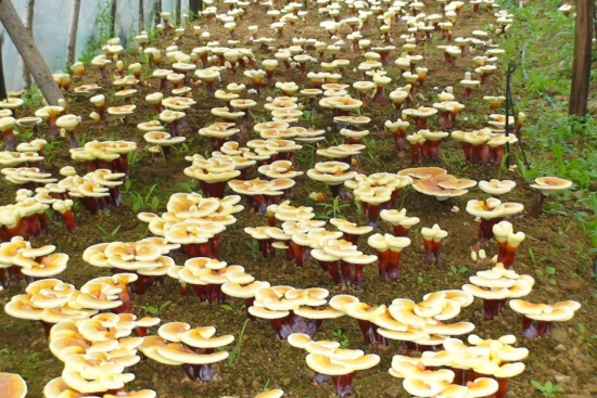 科技4.jpg 科技4.jpg