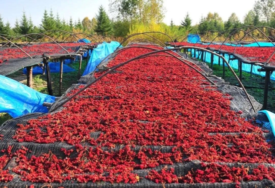 科技5.jpg 科技5.jpg