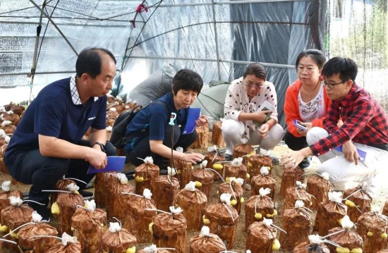 科技6.jpg 科技6.jpg