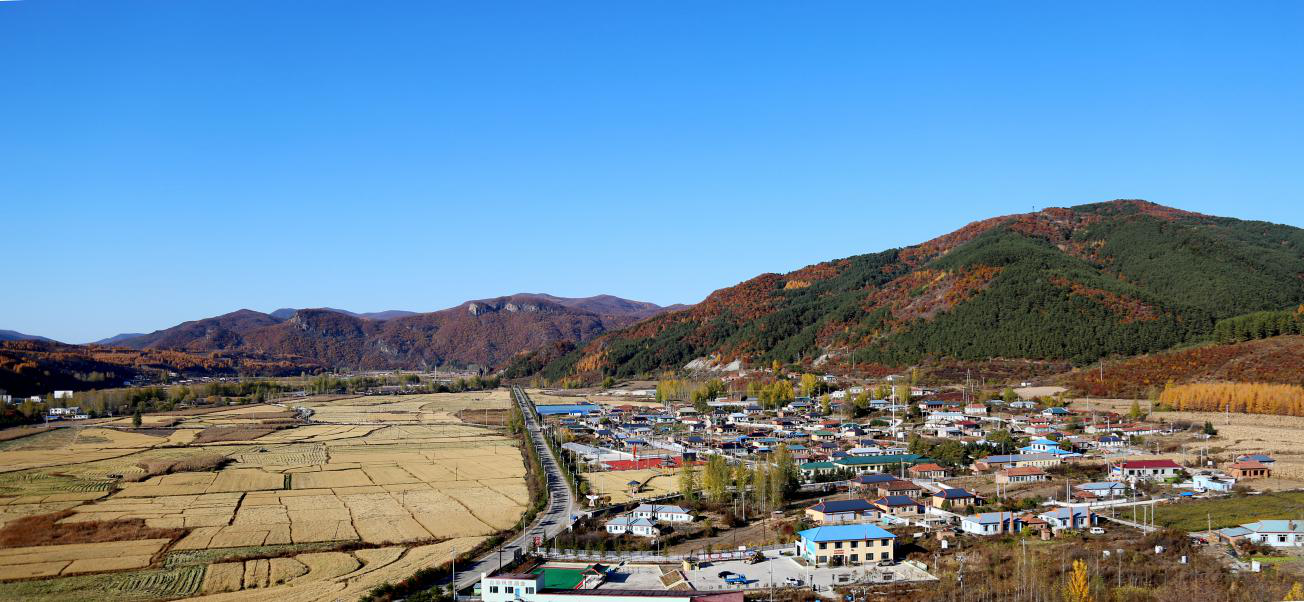 小营镇五凤村.png